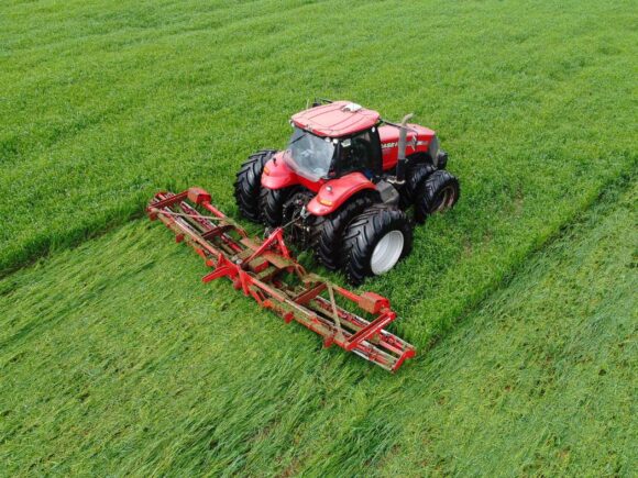 Agriculture